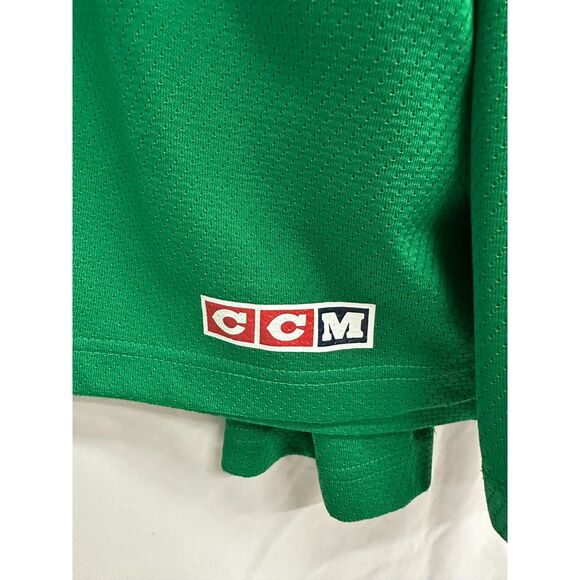 Quad City Express Hockey Jersey XL Moline Illinois Quad City Storm VHTF Rare - Picture 5 of 6